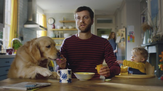 Hakimyar_Djawid_Purple Bricks_Regrets