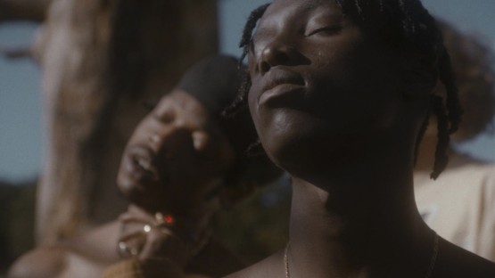 Jones_Sophie_Roses Gabor_I Could Be Yours