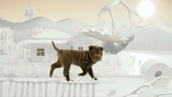 Eberhardt_Jared_Purex_Care about caring too