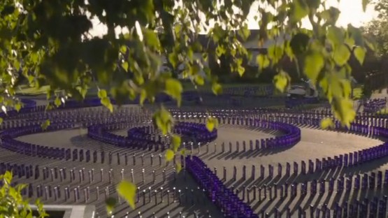 Gracey_Michael_Cadbury_What flavour do you favour