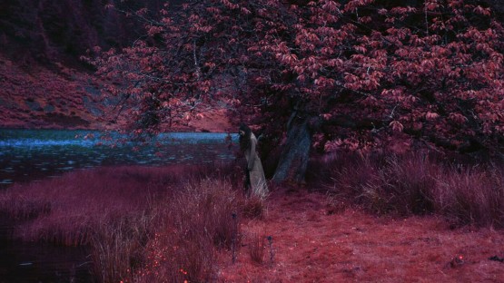 Lee_Sing J_Birdy + Rhodes_Let It All Go-new