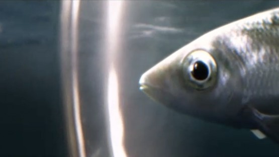 Screen_Shot_2014-12-10_at_17.59.23