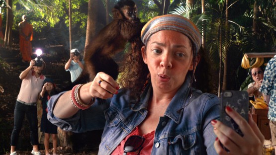 Noakes_Tom_Hotels.com_Monkey-new