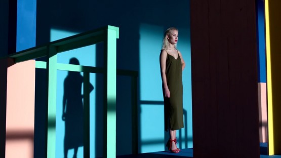 Clerte_Mary_Zara Larsson_Lush Life-new