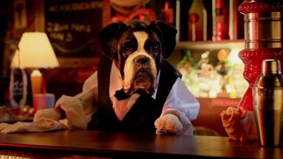 Hakimyar_Djawid_Astra Rakete_Party Animals