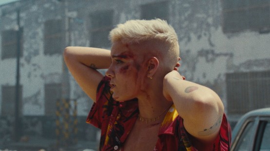 Lee_Sing J_Halsey_Sorry